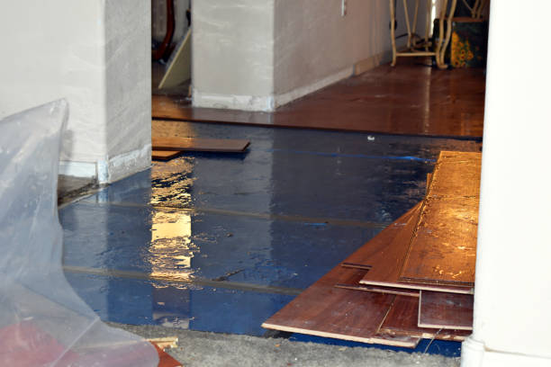 Professional Water Damage technician working in Weld, ME